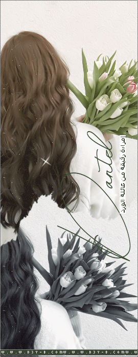 ������ ������� ������