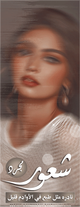 ������ ������� ���� ����