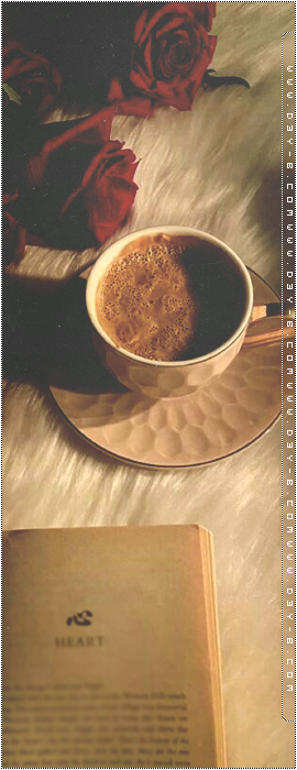 ������ ������� ���� �������