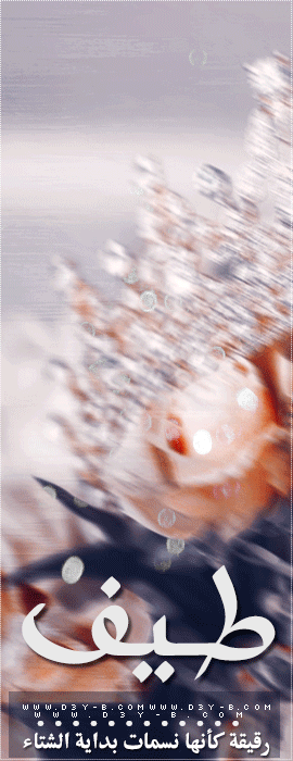 ������ ������� ���