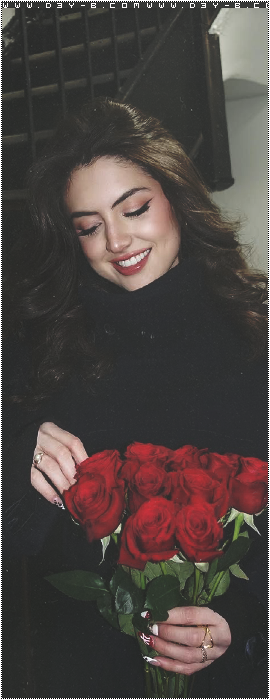 ������ ������� ��������